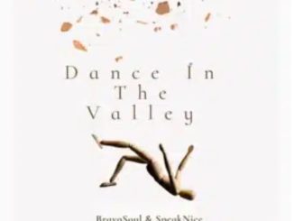 SpeakNice – Dance In The Valley ft BravoSoul