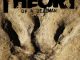 Theory Of A Deadman – Dinosaur