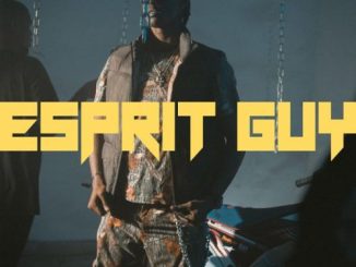 Tripa Gninnin – Esprit Guy