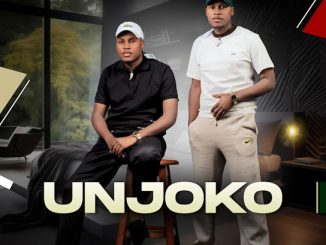 Unjoko – Istimela Sothando