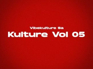 Vibekulture Sa & Sam De Musiq – Amsterdam Glitch