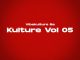 Vibekulture Sa & Sam De Musiq – Amsterdam Glitch