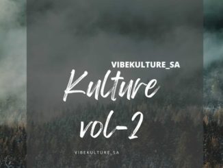 Vibekulture Sa – Flight Mode