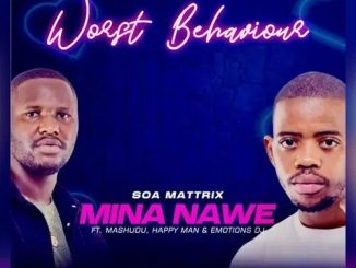 Worst Behaviour – Mina Nawe (Bootleg)
