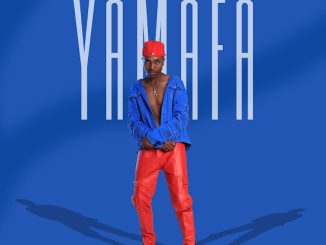 Young Tyger – Inzondo Yamafa Ft. Elis -I