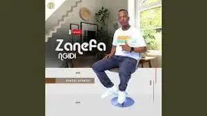 Zanefa Ngidi – Wayenzeni