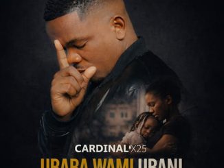 Cardinal X25 – Ubaba Wami Ubani