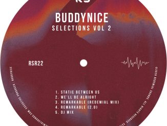 ALBUM: Buddynice – Selections Vol 2