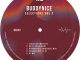 ALBUM: Buddynice – Selections Vol 2