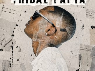 Bacardi 505 – Tribal Papta