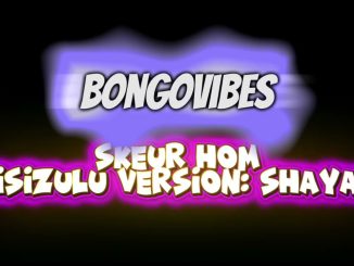 BongoVibes - BongoVibes - Shaya (Skeur Hom - isiZulu Version)