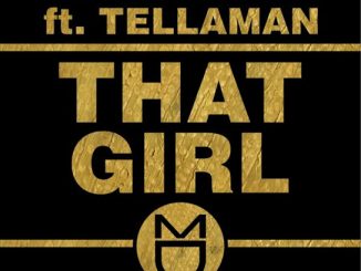 Calvin Fallo – That Girl (Cuebur Remix) Ft. Tellaman