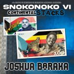 Cardinal X25 – Ubaba Wami Ubani Cardinal X25 – Ubaba Wami Ubani