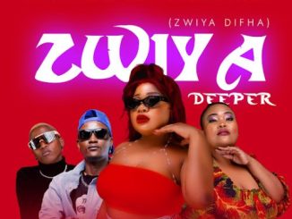 Comment on Mukololo – Zwiya Deeper Ft. Mazet, Megadrumz, Dj Skizoh Bw, Lucia Dottie & Maq D by Dj udoka