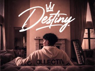 DJ ShadzO – You (Accoustic Outro) Ft. Theola