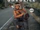 DJ Zinhle ft DJ Lace, Nayvee Womculo, Msindo’listo & Thobani White – Njengemali
