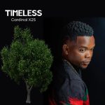 DOWNLOAD: Cardinal X25 – Timeless Album DOWNLOAD: Cardinal X25 – Timeless Album