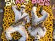 Deep Deepa – Saxxy Boys