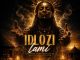 Dj 9.8 SA - Idlozi lami