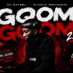 Dj Raybel & Dladla Mshunqisi – Gqom Gqom 2.0
