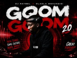 Dj Raybel & Dladla Mshunqisi – Gqom Gqom 2.0