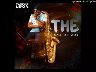 Dj Sk – The Sax Of Joy