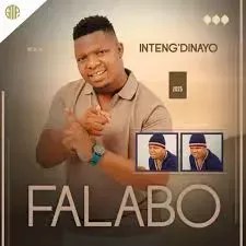 Falabo – Anokhetha Kahle ft. Sne Ntuli