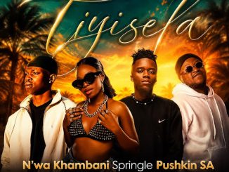 N’Wa Khambani – Tiyisela Ft. Pushkin Rsa & Springle, Mr Seven Keys