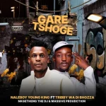 Naleboy Young King & Nkosi The Hustler – Budget Ft. Stanguy Naleboy Young King & Nkosi The Hustler – Budget Ft. Stanguy