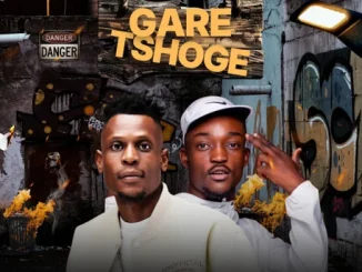 Naleboy Young King & Nkosi The Hustler – Budget Ft. Stanguy