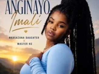 Anginayo Imali 2.0 by Nkosazana Daughter, Master Kg