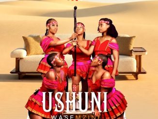 Shuni WaseMzini – Shuthi Sorry Ke