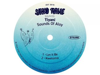 Stay True Sounds – Tiyani – Let It Be