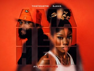 Abuti Wadi Operation - Thatohatsi & Sjava - Ama hem hem (Official Audio) feat. ShaunMusiq