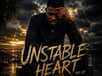 ALBUM: Deejay Zebra SA – Unstable Heart