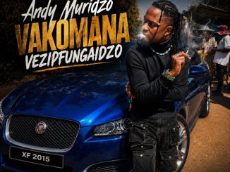 Andy Muridzo – Vezvipfungaidzo