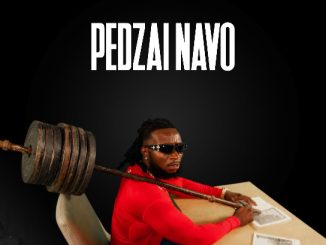 Baba Harare – Tsa Tsa Tsa