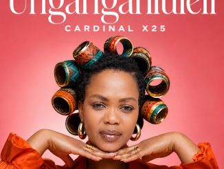 Cardinal X25 – Ungangahluleli