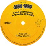 China Charmeleon – Birds Sing (Ed-Ward Remix) Ft. Brandon Dhludhlu & Ed-Ward China Charmeleon – Birds Sing (Ed-Ward Remix) Ft. Brandon Dhludhlu & Ed-Ward