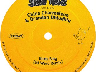 China Charmeleon – Birds Sing (Ed-Ward Remix) Ft. Brandon Dhludhlu & Ed-Ward
