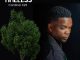 Comment on DOWNLOAD: Cardinal X25 – Timeless Album by Skhulile Nkalanga