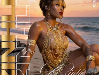 Dj Zinhle & Dj Cliad – Terror