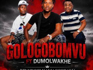 Gologobomvu – Rip Nkosi Yamagcokama