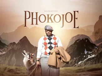 Sannere – Phokojoe