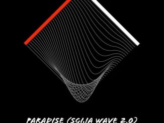 Comment on DrummeRTee924 – Paradise (Sgija Wave 2,0) by Willy