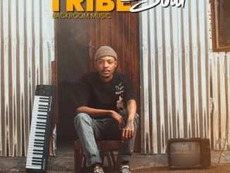Tribesoul – Midnight Express ft. Mdu aka TRP & Tots SA, Mdu aka TRP & Tots SA