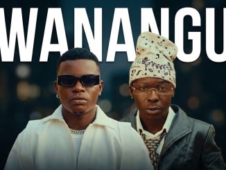 Diaz Man – Wanangu Ft Budazoni