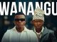 Diaz Man – Wanangu Ft Budazoni