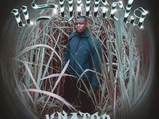 Djknator – Colourful Ft GoldMax & LK