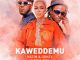 Hatim – Kaweddemu Ft Dokey & Nina Roz